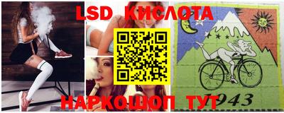 шишки Шелехов
