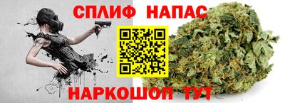 шишки Шелехов