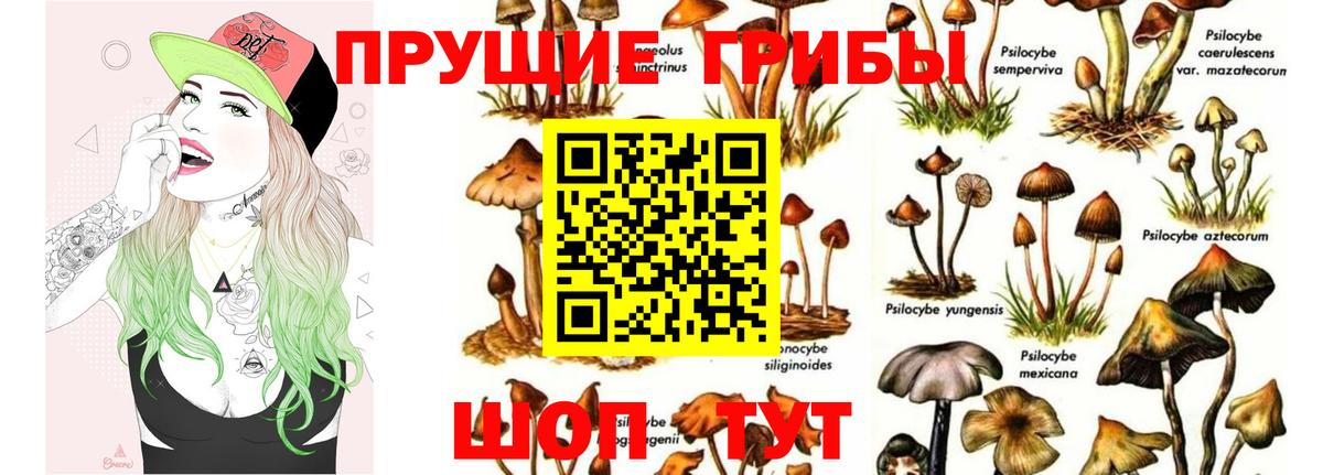Галлюциногенные грибы Psilocybine cubensis  Галлюциногенные грибы MAGIC MUSHROOMS  Вход с VPN  Альметьевск 