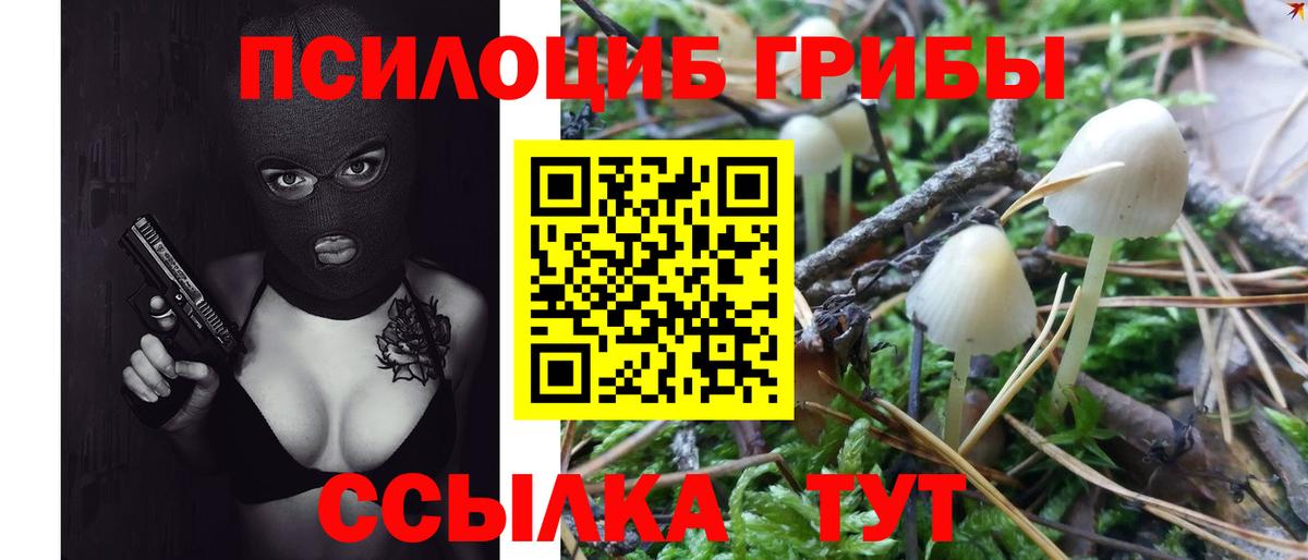 Галлюциногенные грибы мухоморы Альметьевск